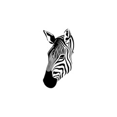 Zebra Head Sketch Vector Graphics Monochrome Drawing, Vector Illustration for Tattoo and Printing
