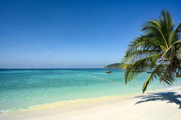 Fototapeta na wymiar Coconut trees on the beautiful white beaches of the South. Andaman Sea, Thailand