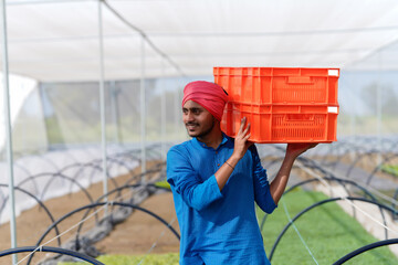 Indian farmer working at green house