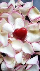 Red heart and rose petals