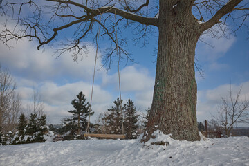 swing abandoned during winter beautiful cloud and sky