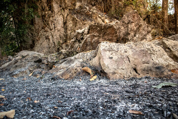 
Burn the forest. PM2.5 haze problem and forest after being burnt in thailand.
