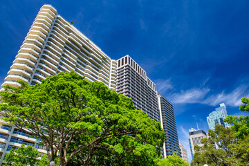 Fototapeta na wymiar Sydney skyline on a beautiful sunny day