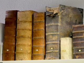 alte Buchrücken