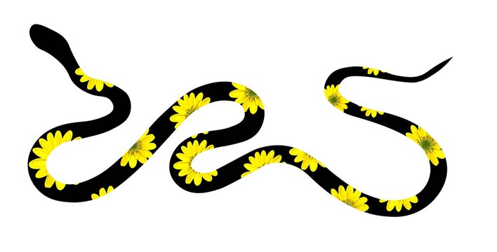 Snake silhouette illustration. Black snake With yellow spots isolated on white background. Vector tattoo design