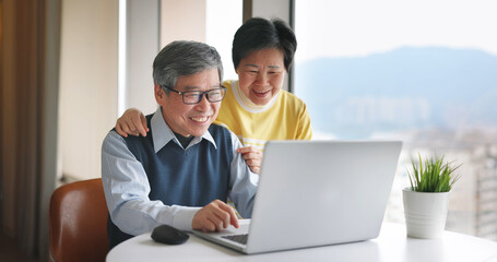 senior couple use laptop