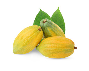 cocoa fruit isolited  on a white background