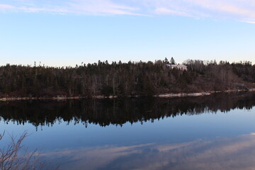 Fototapeta premium reflection of trees in water