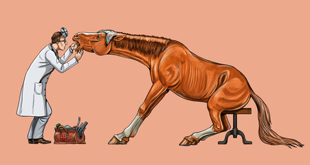 Veterinarian examines the horse. Dentist for the horse. Digital drawing.   © Lunstream