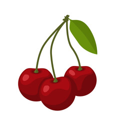 Cherry with a leaf, isolated vector illustration. Three berries on a white background.