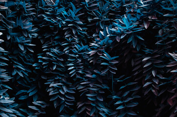 Blue leaves wall spring background