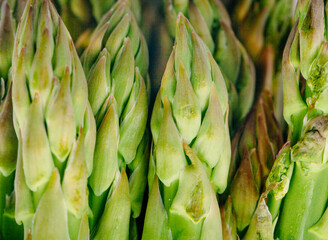 Bunch of asparagus on a white background. High quality photo.