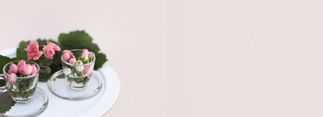 Horizontal banner with miniature rosebuds in glass cups with green leaves on white circle tray and pastel background with copy space. Pink small roses.