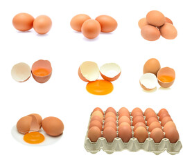 Set of hen eggs and broken eggs on white background.
