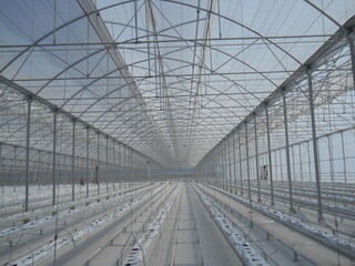 greenhouse, glass greenhouse
