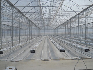 greenhouse, glass greenhouse