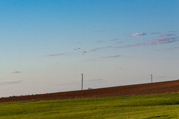 Fototapeta premium Field with a sloping horizon in the countryside. Clouds in the sky.