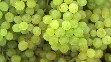 Green grape clusters on the market close-up. The camera is moving.