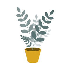 Potted indoor flower, zamioculcas on a white background. Vector illustration in a flat style