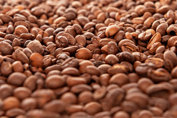 Freshly roasted coffee beans on the table