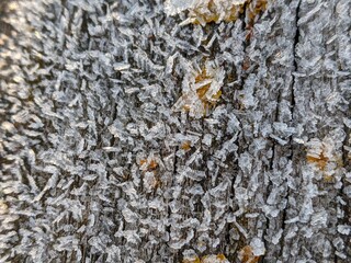 Iced wallpaper texture shooted with zoom