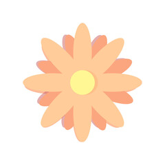 Pastel flower on white background.