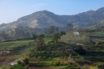 Fototapeta premium Paisaje del Barranquillo del Laurel en la isla de Gran Canaria, España