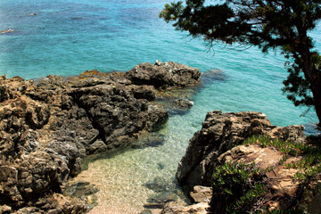 Crique - Olmeto plage 