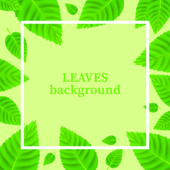 Beautiful frame and background of leaves on green, vector illustration