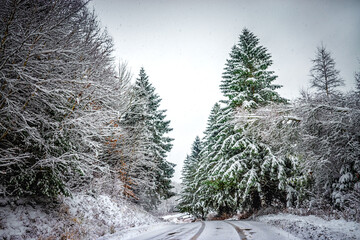 Winter Wonderland on Seward Road in Windsor in Broome County in Upstate NY.  Tire tracks around the...