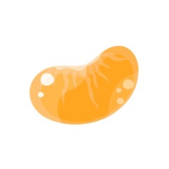 Mandarin, tangerine, clementine isolated on white background. Slice, piece. Citrus fruit. Vector Illustration