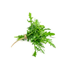 Arugula, Arugula, Ruccola Leaves, Rucola, Eruca or Roquette Salad