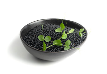 Raw Dry Lentils, Lentil Grains, Dal, Daal, Dhal, Masoor