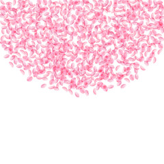 Sakura petals falling down. Romantic pink silky small flowers. Thick flying cherry petals. Top semic