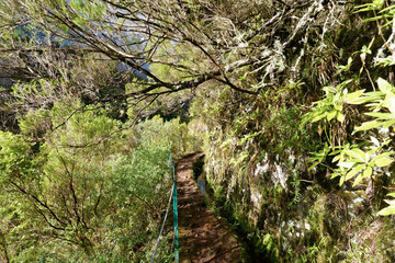 Portugal - Madeira - Levada do Caldeirão Verde