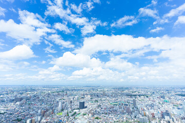 東京　夏 地平線に流れる入道雲