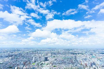 Fototapeta premium 東京 夏 地平線に流れる入道雲