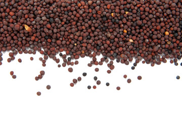 Dry mustard black seeds isolted on the white background