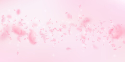 Sakura petals falling down. Romantic pink flowers falling rain. Flying petals on pink wide backgroun