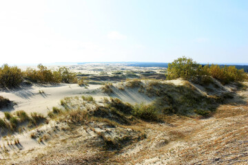 Sand dunes covered with green grass
