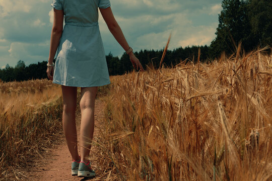 A girl in a short dress walks along a path in a wheat field