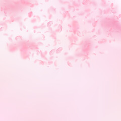 Sakura petals falling down. Romantic pink flowers semicircle. Flying petals on pink square backgroun