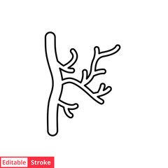 Human artery line icon. Outline style can be used for web, mobile, ui. Blood, vessel, artery, vascular, vein concept. Vector illustration isolated on white background. Editable stroke EPS 10.