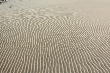 The texture of sand on a dune in the desert