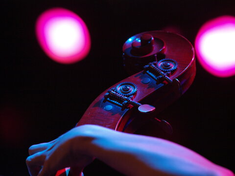 Contrabbasso al concerto jazz sul palcoscenico