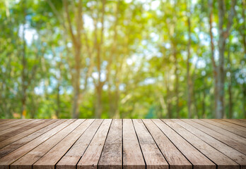 Old wood plank with abstract rubber plantation blurred background for product display