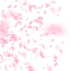 Sakura petals falling down. Romantic pink flowers gradient. Flying petals on white square background