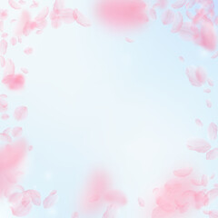Fototapeta premium Sakura petals falling down. Romantic pink flowers vignette. Flying petals on blue sky square backgro