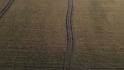Tractor tracks on field.