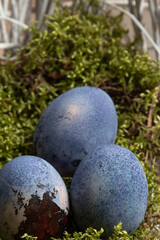 Colorful easter eggs. Easter background concept